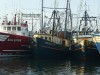 Fishing boats in New Bedford, Mass.