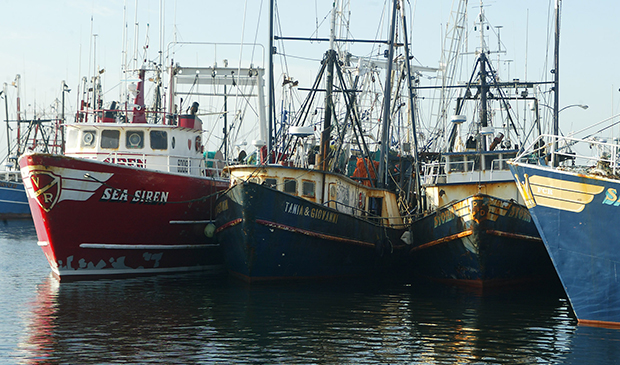 Fishing boats in New Bedford, Mass.
