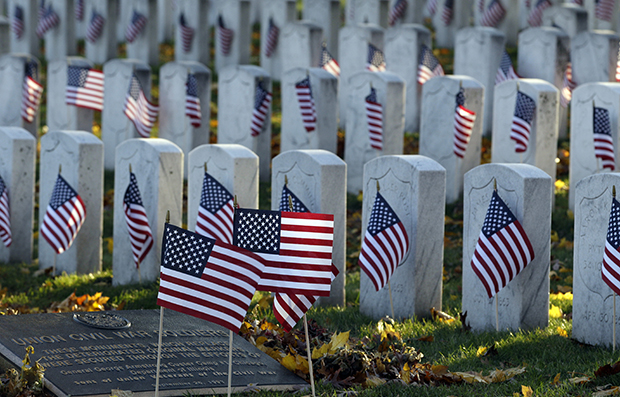 American flags are on display at Rosehill Cemetery for Veterans Day in Chicago