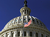 U.S. Capitol