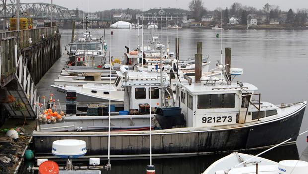 Fishing boats