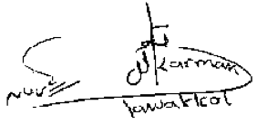 tawakkol_karman_signature