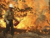 Rim fire