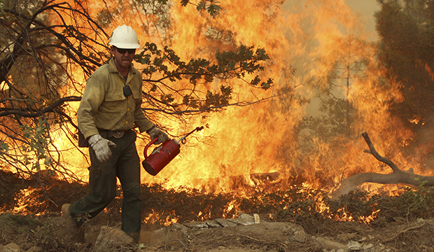 Rim fire