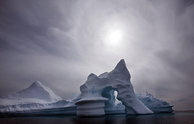 Iceberg
