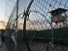 Guantanamo fence