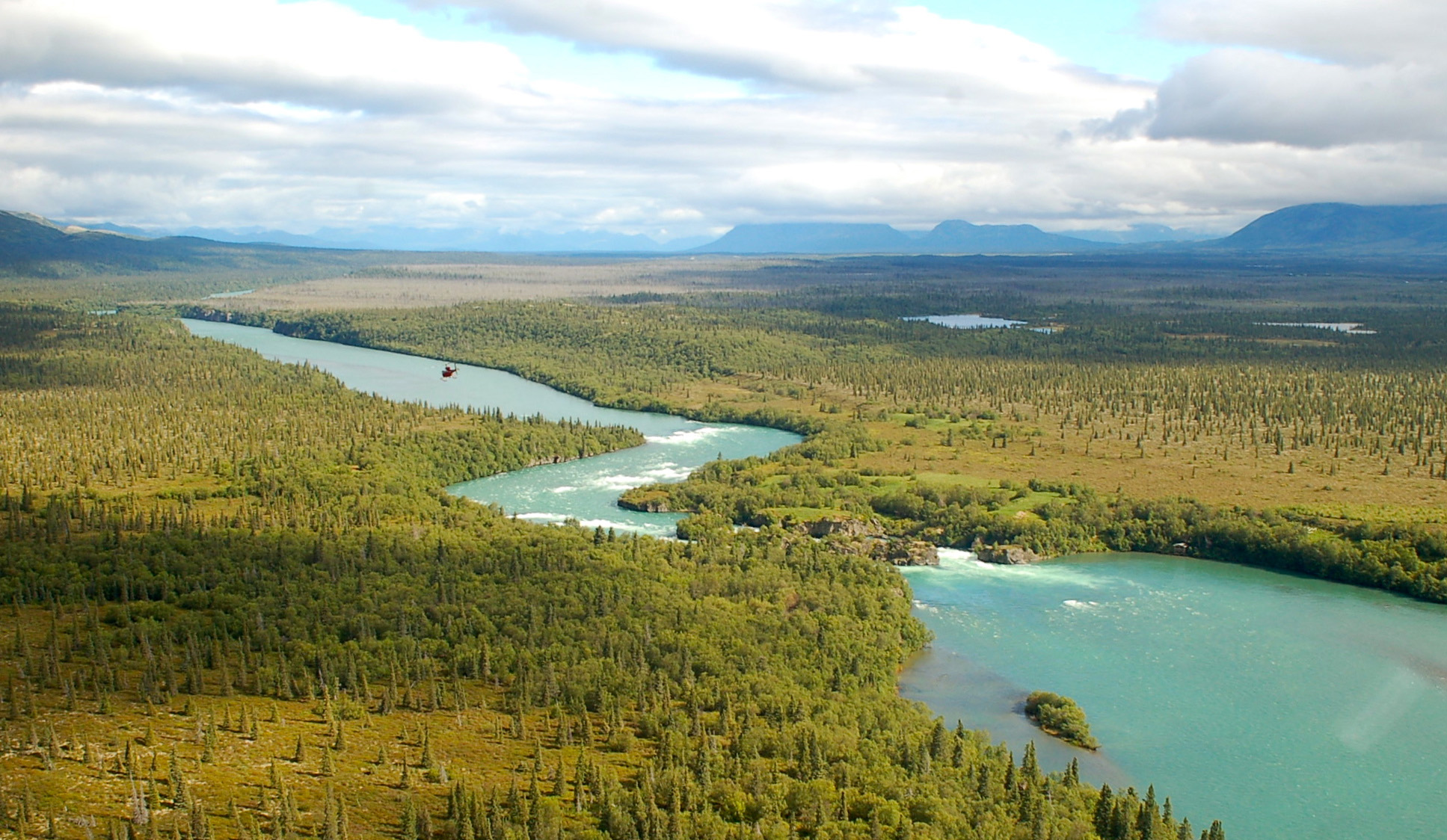 Newhalen River