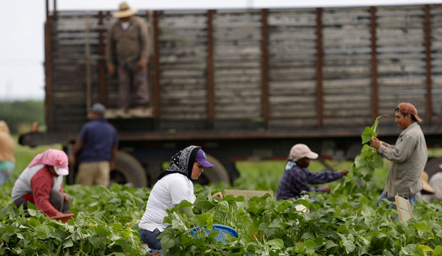 Immigrant workers