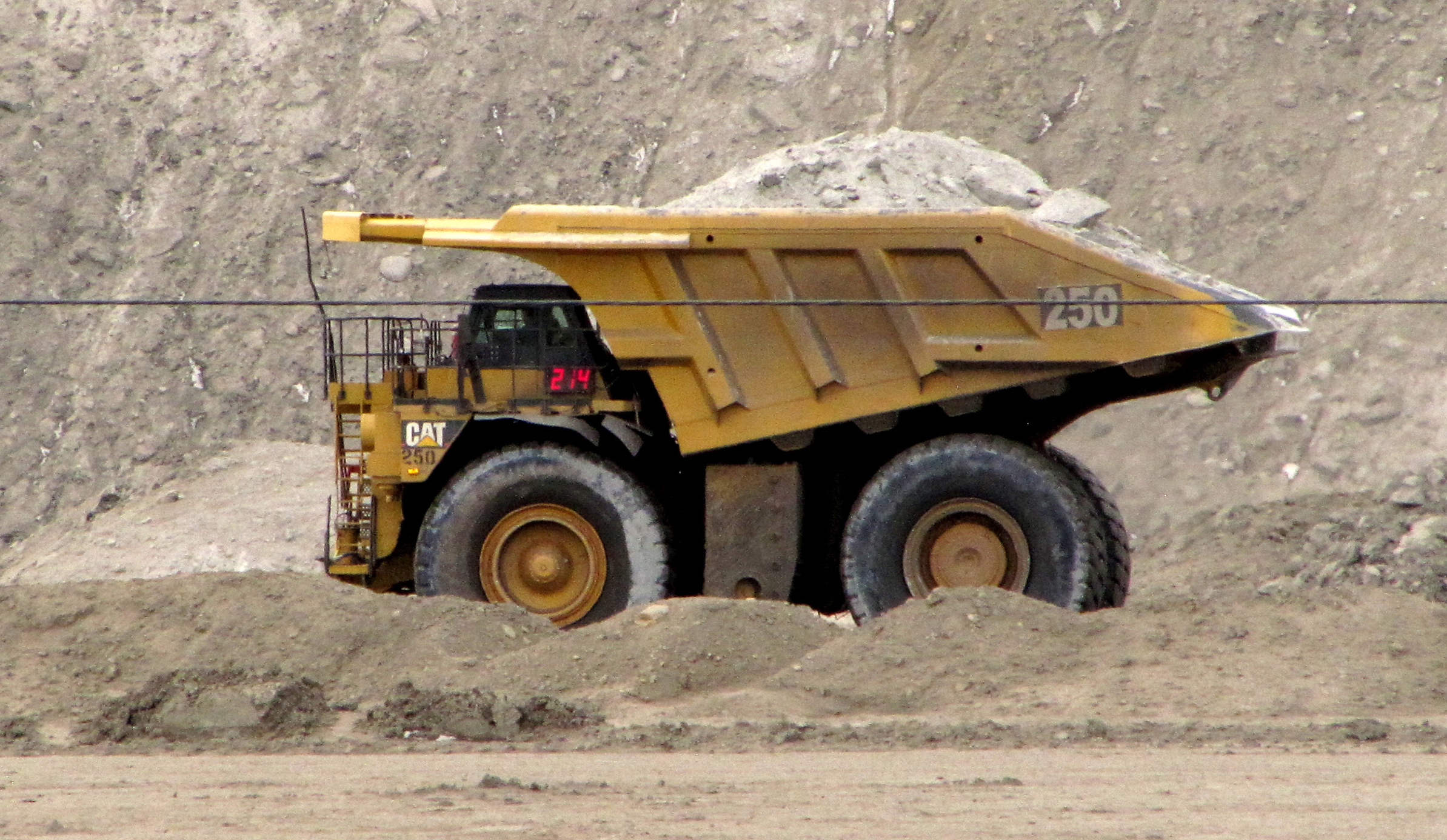 coal leasing