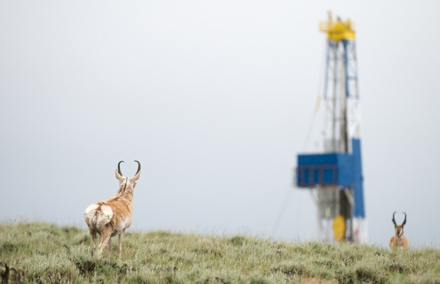 Oil&Gas