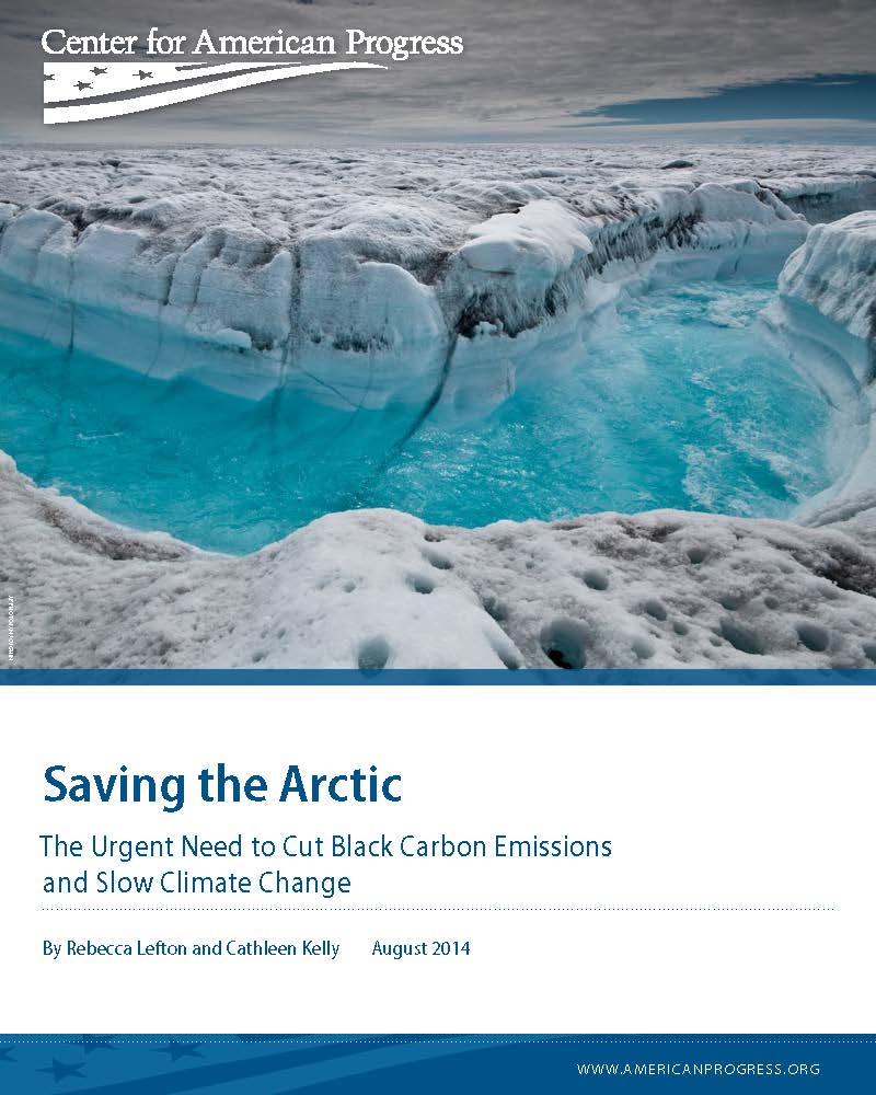 Saving the Arctic