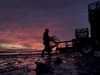 Lobsterman