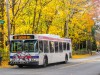public transit bus