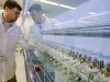 scientist in laboratory