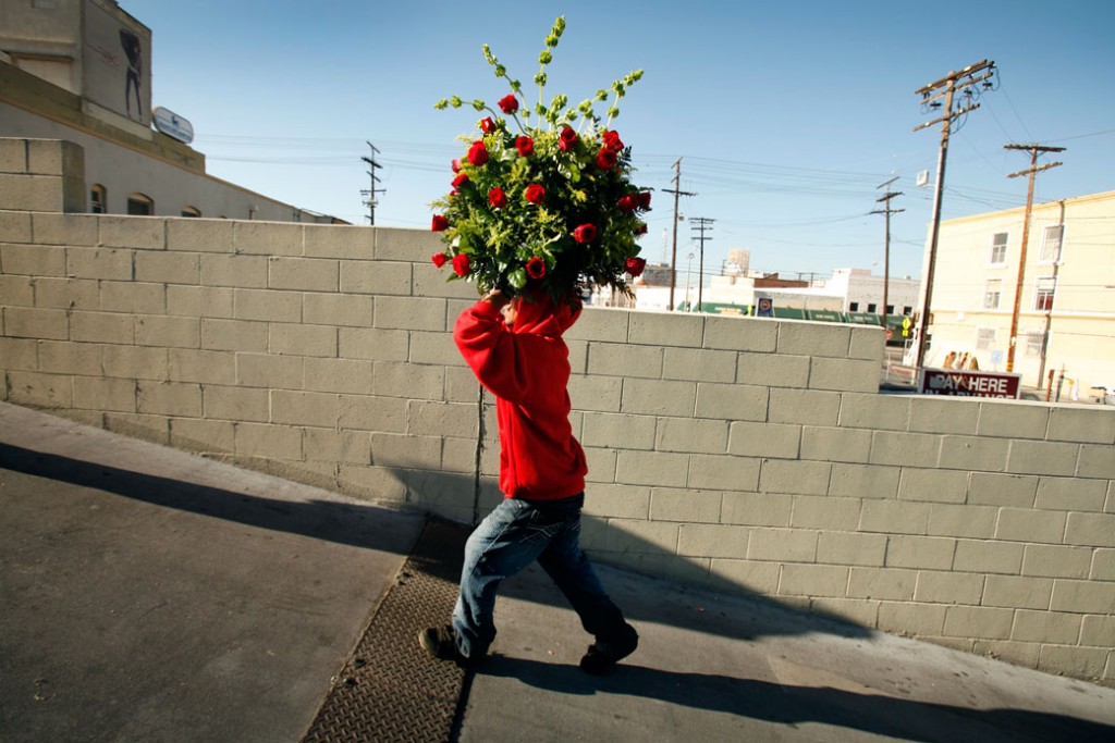 A man carries a huge bouquet of roses in Los Angeles, Valentine's Day 2012.