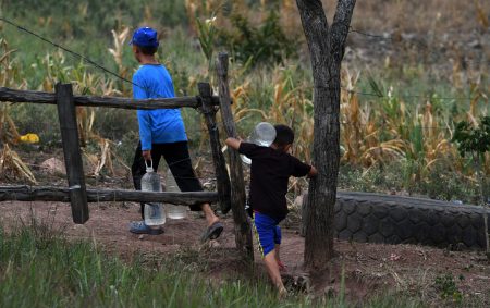 Climate Change Is Altering Migration Patterns Regionally and Globally