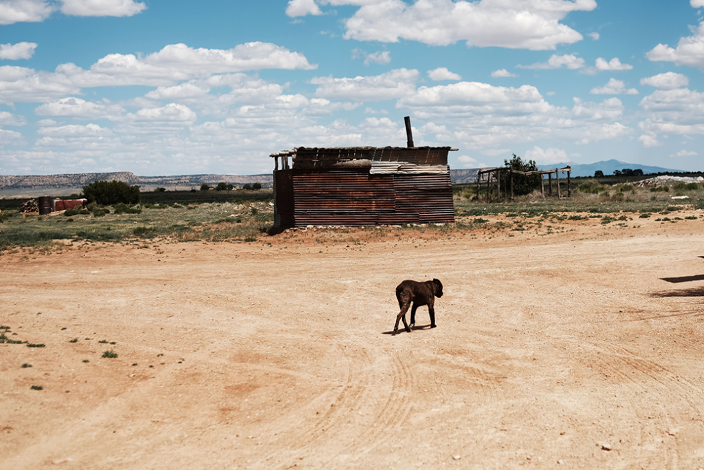 Rising temperatures associated with global warming have worsened drought conditions and intensified water shortages for the Navajo Nation in Thoreau, New Mexico, June 2019.