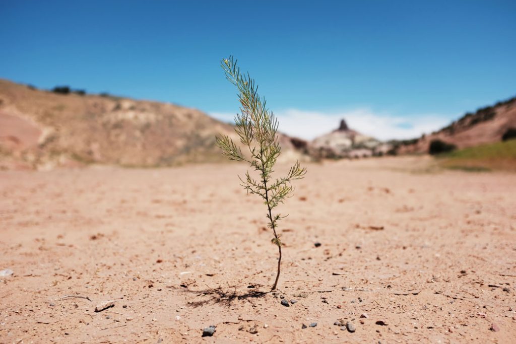 A dry landscape stands on Navajo Nation lands in the city of Gallup, New Mexico, June 2019.