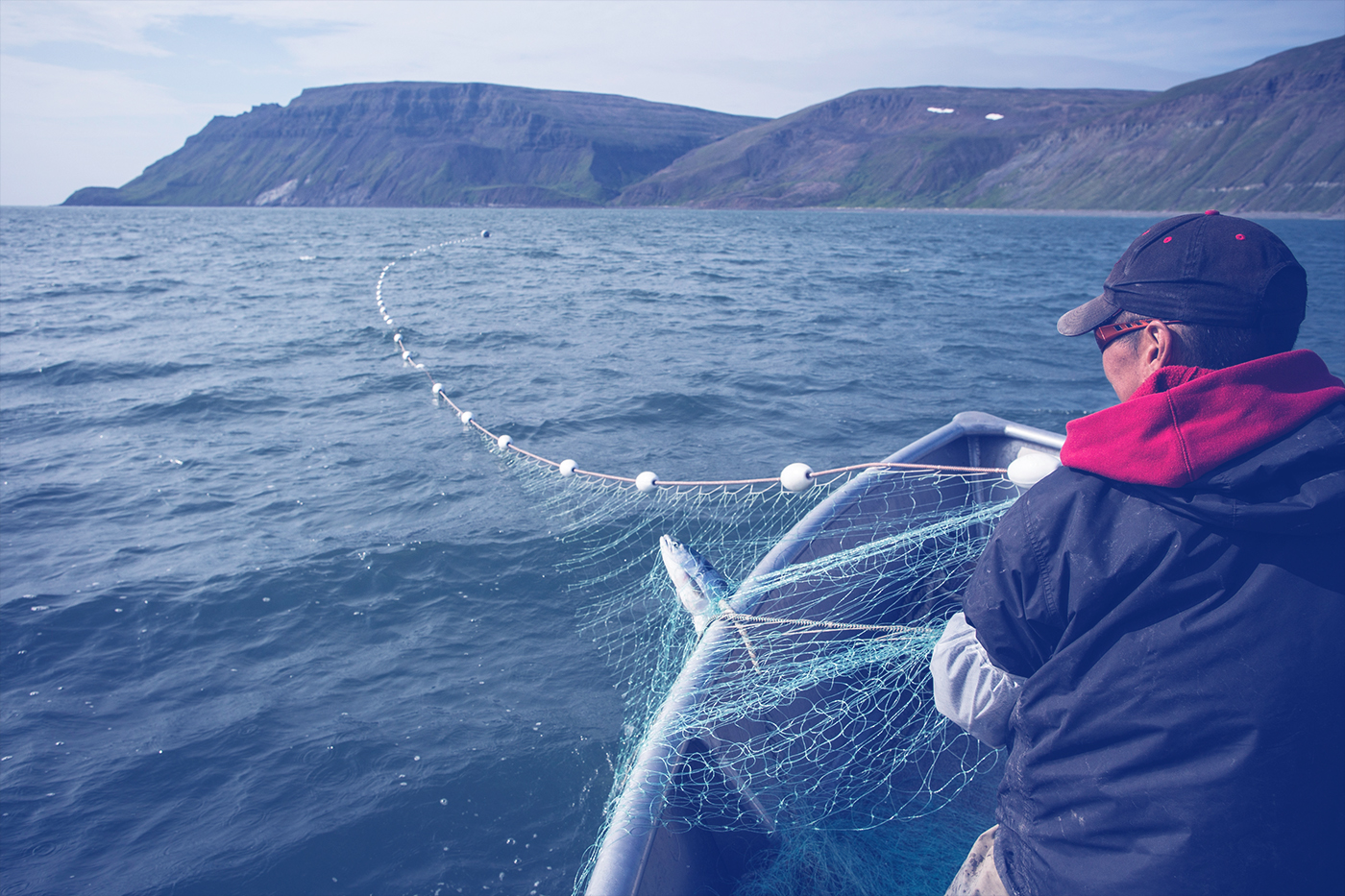 The Need for Permanent Protections for Alaska's Bristol Bay - Center for American Progress - Vimarsana News