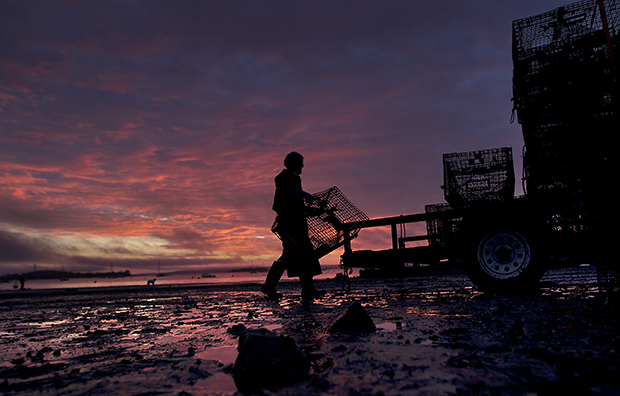 Lobsterman