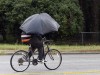 Bicyclist in South Carolina