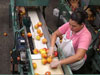 Workers prepare peaches